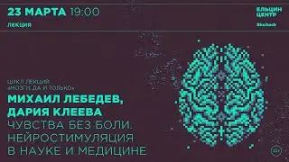 Михаил Лебедев, Дария Клеева. Чувства без боли. Нейростимуляция в науке и медицине