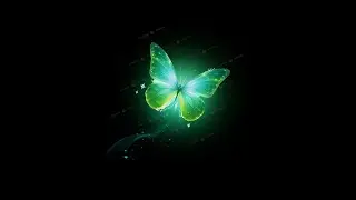 Butterfly lighting effect black screen video effect | butterfly flying black screen video