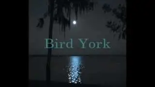 In The Deep ... Bird York (short version)