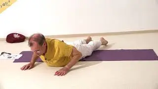 Löwe-Haltung aus der Kobra - Simhasana - Yoga Asana Lexikon