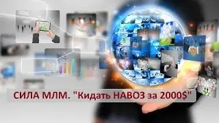Сила МЛМ "Кидать НАВОЗ за 2000$/мес!" Аркадий Шаров