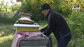 Вымирающая деревня