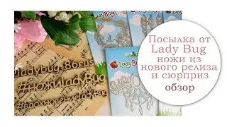 Посылка от Lady Bug. Ножи из нового релиза.