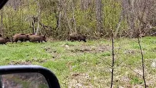 Встреча на дороге.