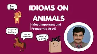 Idioms on Animals: Most Important & Frequently used in English