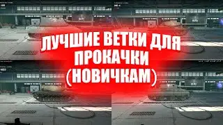 ЛУЧШИЕ Ветки для прокачки (НОВИЧКАМ)