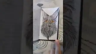 рисунок Мейн куна #рисунок #мейнкун #шортс #shorts