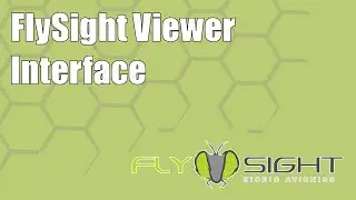 FlySight Viewer Interface