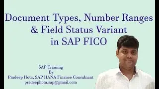 Document Types in SAP FICO | Field Status Variant in SAP FICO | Number Ranges in SAP FICO