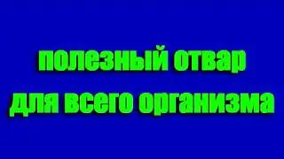 Полезный отвар для всего организма