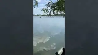 Как мотор 15 лс тянет ватрушку.
