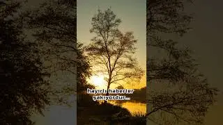 Gece Gündüze Dönerken