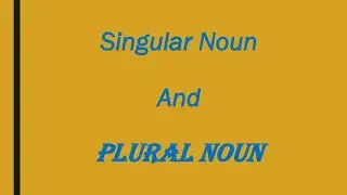 Singular noun  and plural noun
