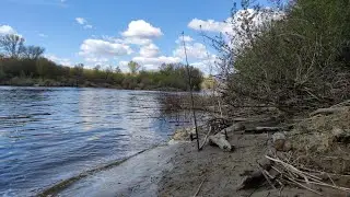 Ловля карася в нерест