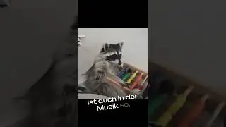 Short Intervalle Musiktheorie #musictheory #music #musik #musiktheorie #memes