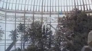 [ᵃʳˢ] W O R M MEP
