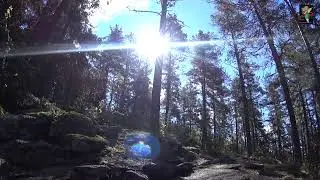 Mountain Top