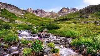 Расслабляющие Звуки Реки, Горный Ручей, Звуки Природы, Пение Птиц