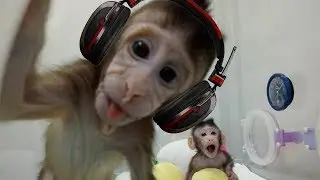 Sopa de macaco ( instrumental )