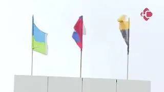 Выборы главы