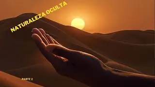 🐫NATURALEZA OCULTA 2 🏜tesoros inexplorados
