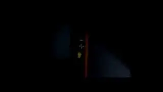профессиональный вор --The Very Organized Thief