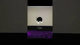 How to make Dog | Dog by Python turtle Graphics