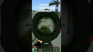 Эдисон самый профессиональный профессионал в  снайперов