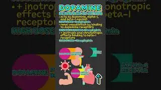 Dopamine Facts!
