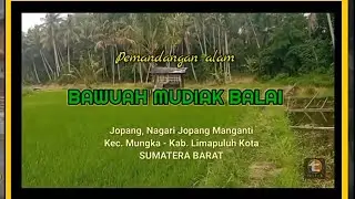 Pemandangan alam 