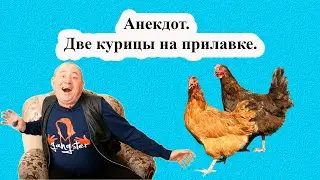 Анекдот.  Две курицы на прилавке.