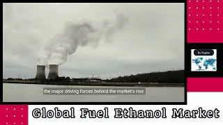 Global Fuel Ethanol Market