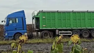 Жнива 2022. Соняшник не здається. Застрягли в полі