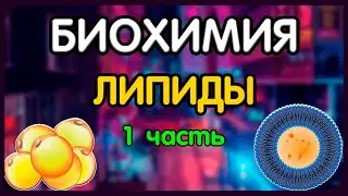 Биохимия. Лекция 55. Липиды. 1 часть