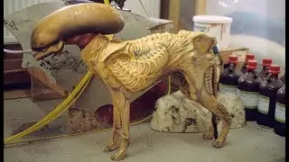 ALIEN 3 Dressing the Whippet ADI BTS