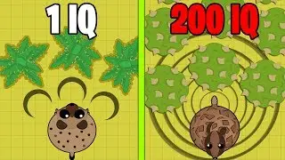 Mope.io TRICKS To LEVEL UP SUPER FAST! 200 IQ Desert Farming Methods // Mope.io Tips & Tricks