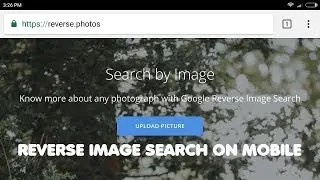How To Do Reverse Image Search On Your Mobile Phone
