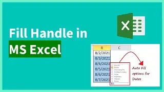 Lesson 12 Fill handle in Microsoft Excel - for beginners in 2023