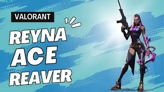 Valorant Reaver Vandal Ace on Breeze