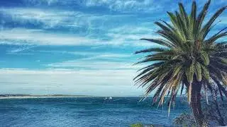 FBI radio Sydney Sunset Mix