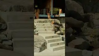 The concrete stairs everyone 🥹