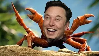 Elon Musk Deleted Fortnite