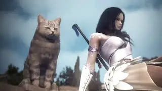 BDO | Kunoichi Succ PVP Montage#2(?