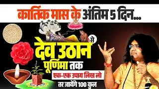 कार्तिक मास के अंतिम 5 दिन...