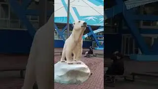Спорткомплекс Айка.Скульптура «Белая медведица Айка»!