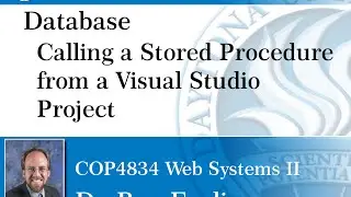 Database - Calling Stored Procedures from Visual Studio