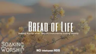Instrumental Worship Music for Prayer | Peaceful Background Music | Soothing