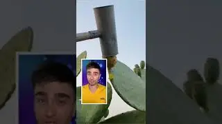 Ты точно ЭТО не пробовал!
