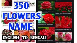 All flowers name bengali-english | ALL FLOWERS NAME | FLOEWRS NAME । ফুলের নাম ইংরেজি থেকে বাংলা |