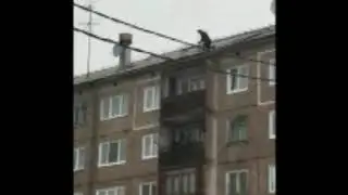 В БРАТСКЕ СОБР ПРОВЕЛ ЗАДЕРЖАНИЕ НЕСКОЛЬКИХ НАРКОДИЛЕРОВ
